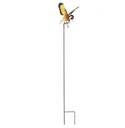 [55870] La Hacienda - Hanging Goldfinch Image 